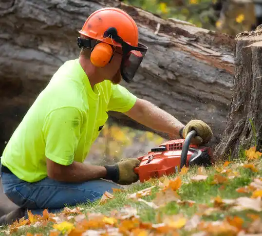 tree services Nellieburg